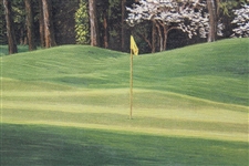 Vinny Giles' 1999 Masters Gift - Linda Hartough Signed Ltd Ed #8 Hole Yellow Jasmine Canvas - Sealed