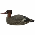 Ray Floyds Carved Wooden Red Bill Full Size Duck Decoy by Master Carver Warren Saunders