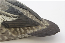 Ray Floyd's Carved Wooden Red Bill Full Size Duck Decoy by Master Carver Warren Saunders