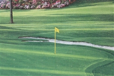 Vinny Giles' 1998 Masters Gift - Linda Hartough Signed Ltd Ed #6 Hole Juniper Canvas - Sealed
