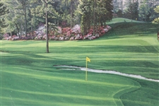 Vinny Giles' 1998 Masters Gift - Linda Hartough Signed Ltd Ed #6 Hole Juniper Canvas - Sealed