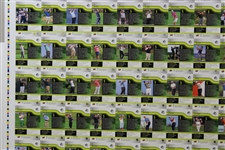 Vinny Giles' Personal Uncut Sheet of 2012 UpperDeck SPA Golf F1 Regular Cards Silver