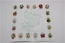 1978 Augusta National Golf Club Historical Sketch of 'Fruitlands' Nursery Pamphlet - First One We've Seen