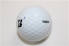 Tiger Woods Personal Tournament Used Golf Glove & Marked Used Golf Ball