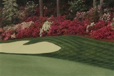 Augusta National Golf Club Hole #13 Presentation Photo - Framed