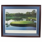 TPC Sawgrass Famous Hole # 17 Island Green 1996 Presentation Photo by Z - Framed