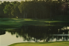 TPC Sawgrass Famous Hole # 17 Island Green 1996 Presentation Photo by Z - Framed