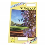 2015 Masters Tournament Final Round Sunday Ticket - Jordan Spieth Win