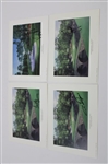 Twenty-Three (23) Masters Champs Signed Individual Jack Chilton Augusta National Lithographs JSA ALOA