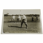 Warren G. Harding Driving from a Sand Tee as Senator Ca.1914-21 Harris & Ewing Press Photo