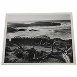 1951 Cypress Point Hole #16 Crosby Pro-Am Jack Burke Driving Wire Photograph 