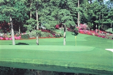 Ben Crenshaw Signed 1995 The Masters Poster With Champ Notation JSA ALOA