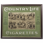 1907 Country Life Cigarettes Open Golf Champions Advertising Display - Framed
