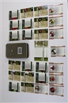 Tiger Woods Premier Edition 'Tiger Woods Collection' 25-Card Tin w/Grand Slam Commemorative Card