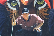 Tiger Woods Ltd Ed Collage Art Display #236/270 by Artist Danny Day - Framed