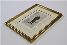 Mr. Robert Maxwell Copywright Elliott & Fry Drawing - Framed