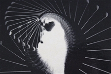 1938 Bobby Jones High Speed Swing Study MIT Edgerton Strobe Driver Postcard