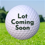 Lot Coming Soon