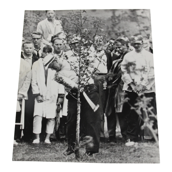 Jack Nicklaus Nicklaus Has Tree Trouble 1965 Wire Photo