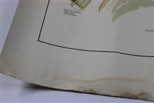 Original 1924 The Old Course St. Andrews Aerial Map Surveyed & Depicted by MacKenzie
