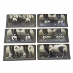 Six (6) Humorous Golf Romance Story Keystone Stereoscope Photos