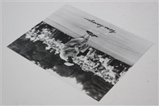 Gene Sarazen Signed 8 X 10 Black And White Photo Of Gene Sarazen Putting