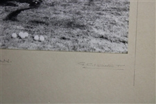 Original Black And White Photo Of Ben Hogan At Carnoustie Mounted On Board