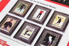 Tiger Woods Collection 2004 Upper Deck Framed Photo Set