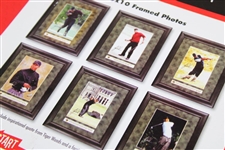 Tiger Woods Collection 2004 Upper Deck Framed Photo Set