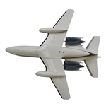 Chi Chi Rodriguez's 'Benefactor of the Children of Puerto Rico & The World' Plane Award