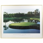 TPC Sawgrass 17th Green Framed Poster