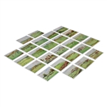 Full Set of Twenty-Five (25) WD & HO Wills Golfing Tobacco Golf Cards