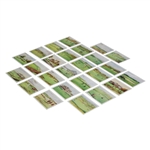 Full Set of Twenty-Five (25) WD & HO Wills Golfing Tobacco Golf Cards