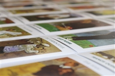 Original Set Of 30 Mueller Golf Cards