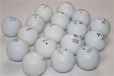 Arnold Palmer's Seventeen (17) Marked & Used Golf Balls in Bay Hill Navy Shag Bag from Arnie's Caddie