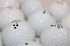 Arnold Palmer's Seventeen (17) Marked & Used Golf Balls in Bay Hill Navy Shag Bag from Arnie's Caddie