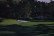 2001 The Masters Augusta National GC 11th Green & 12th Hole Poster - Framed