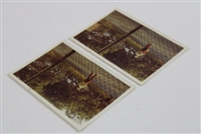 Two (2) Original Jack Nicklaus Playing Tennis Color Photos - Just Lost The Open to Trevino by 1 Shot