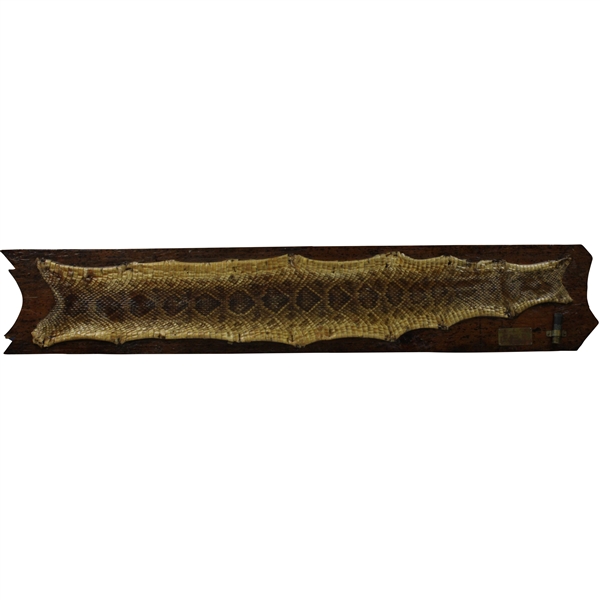 Babe Zaharias Best Blast Personal Rattlesnake Skin Mount w/Shell Casing