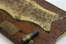 Babe Zaharias' Best Blast Personal Rattlesnake Skin Mount w/Shell Casing