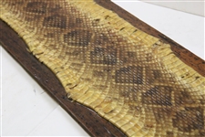Babe Zaharias' Best Blast Personal Rattlesnake Skin Mount w/Shell Casing