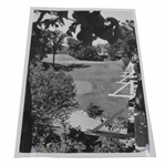 1983 North Shore Country Club 5th Tee Elevated Green View Press Photo - 8" x 10"
