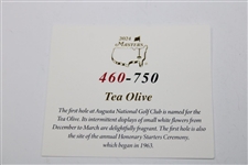 2024 Masters Tournament Ltd Ed Coin #460/750 in Box w/Card - Hole One Tea Olive