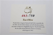 2024 Masters Tournament Ltd Ed Coin #461/750 in Box w/Card - Hole One Tea Olive