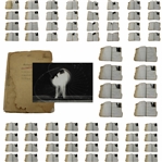 Historic Original Bobby Jones Edgerton 1/100 Swing Sequence Study w/61 Photos/Records/Notes
