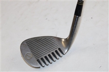 The Ultimate Sand Wedge 'Sandie' ASG