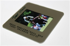 Tiger Woods Color Photo Negative - 2001 GA Tour/Western Open/These Guys Are Good Joe Robbins