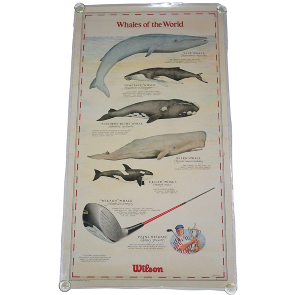 1991 Payne Stewart Wilson Whales of the World Whale Driver US Open Trophy Poster