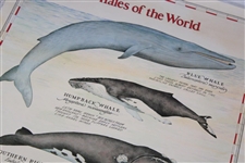 1991 Payne Stewart Wilson 'Whales of the World' Whale Driver US Open Trophy Poster