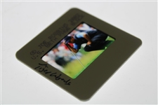 Tiger Woods Color Photo Negative - Joe Robbins 2002 Us Beth Page Black 